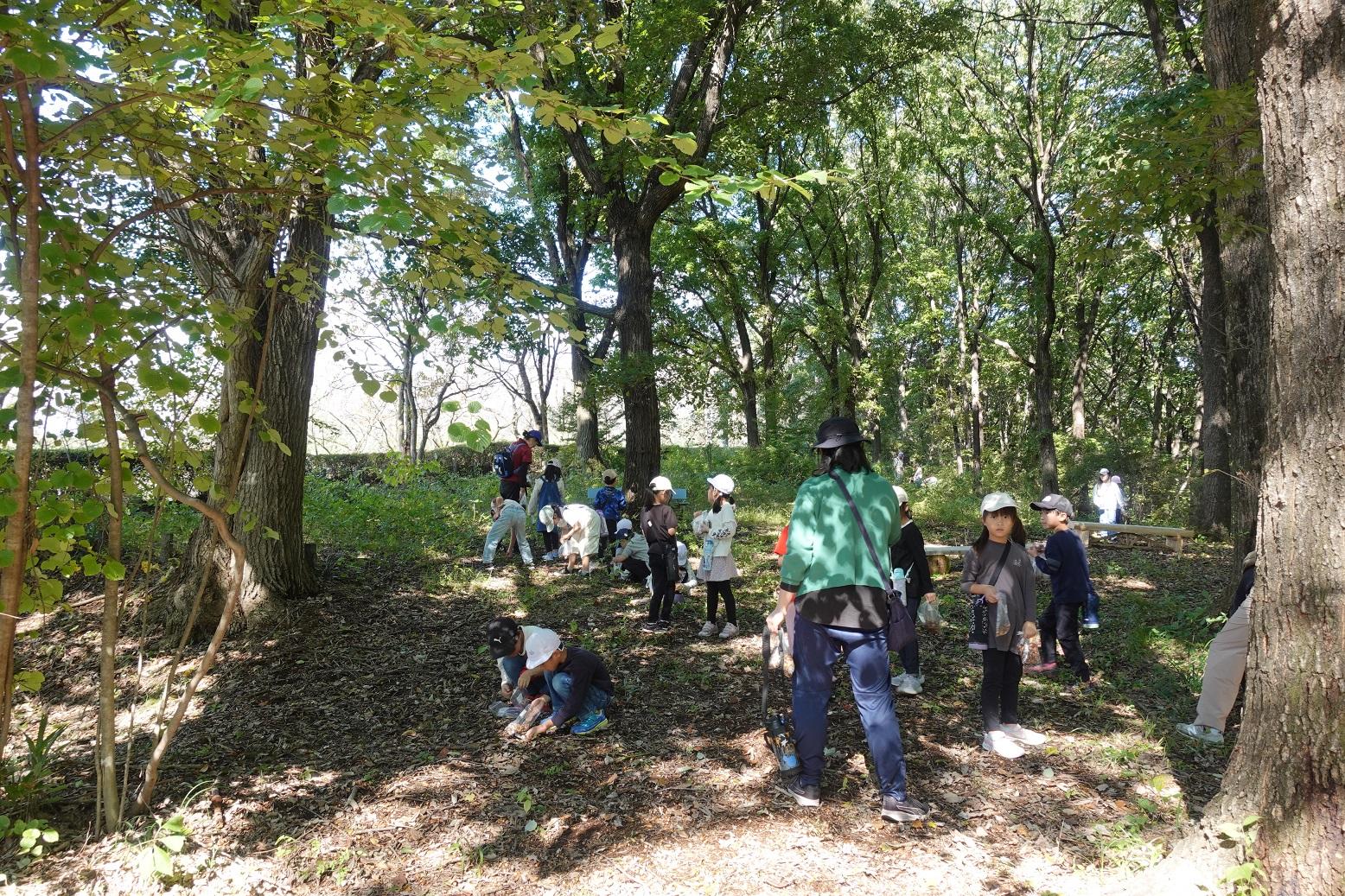 691ff2d97a702.jpg 691ff2d97a702.jpg