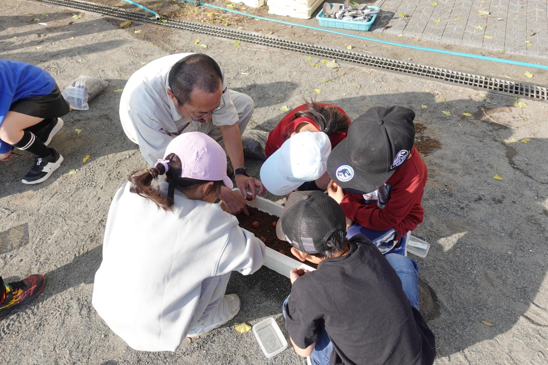 69253862a9e5f.jpg 69253862a9e5f.jpg