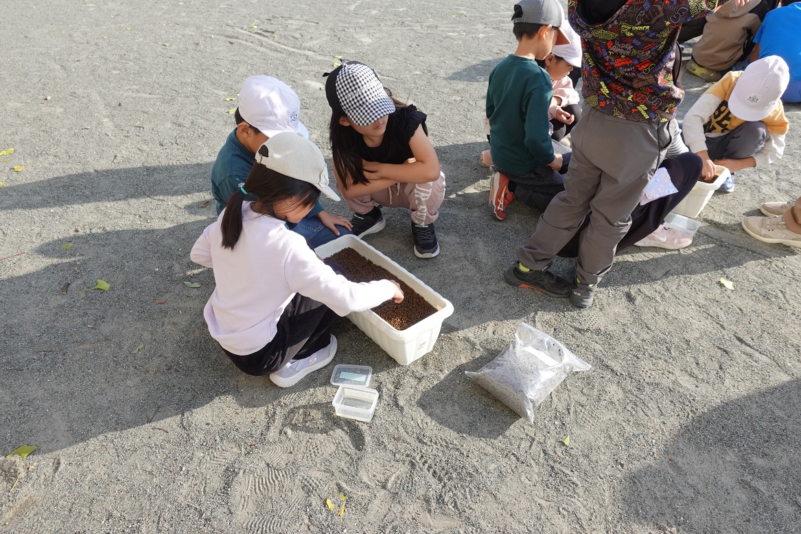 691ff3162ab03.jpg 691ff3162ab03.jpg