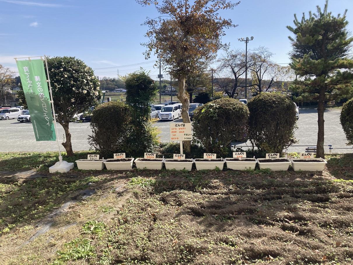 6924fade70b53.jpg 6924fade70b53.jpg