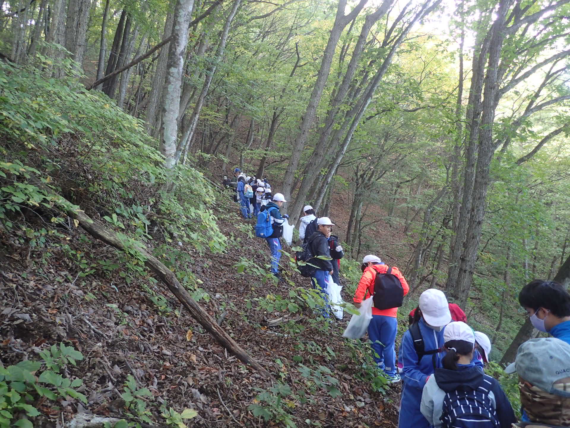 69201fb4eeb4a.jpg 69201fb4eeb4a.jpg