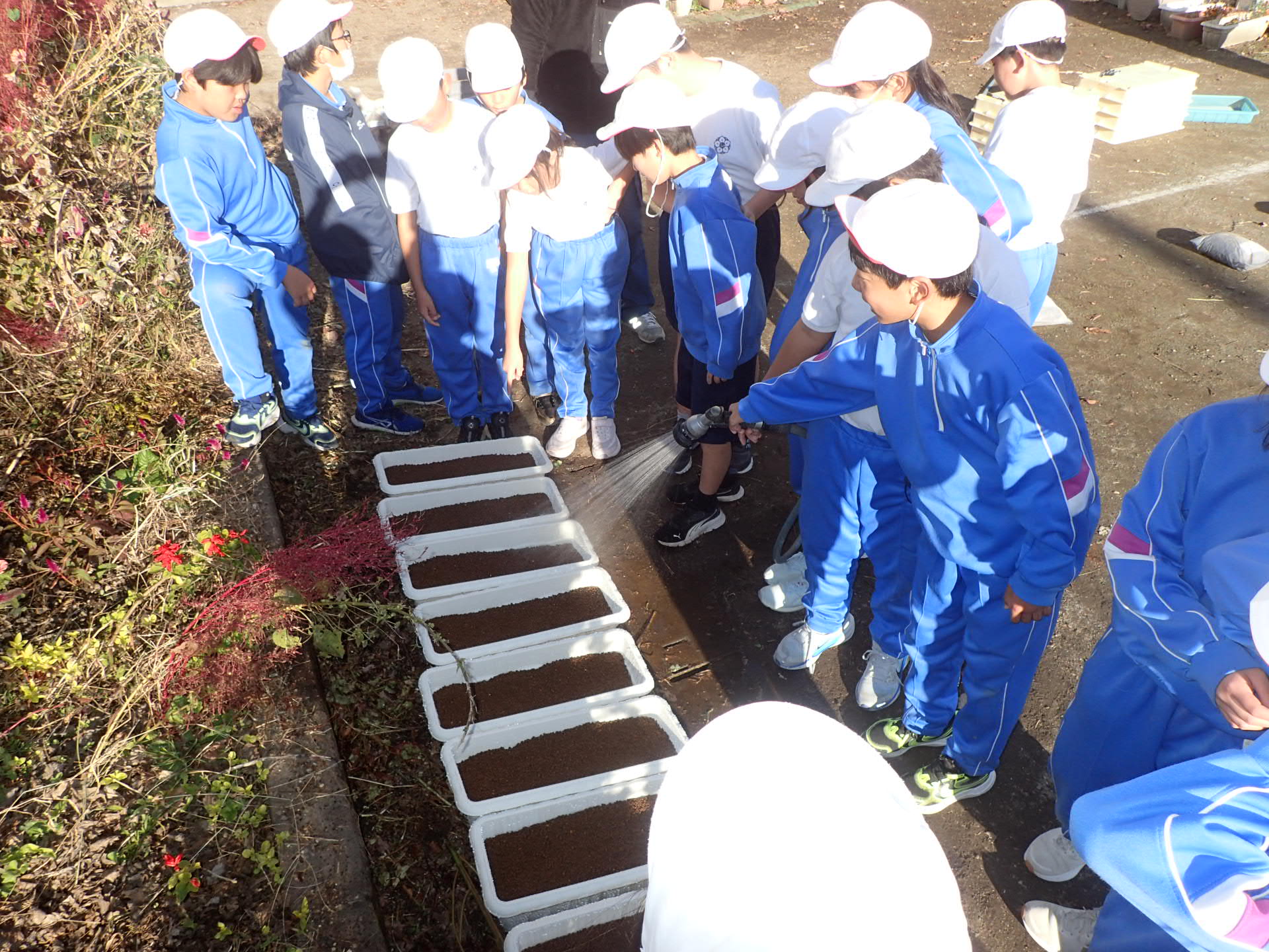 69201fda47f5d.jpg 69201fda47f5d.jpg