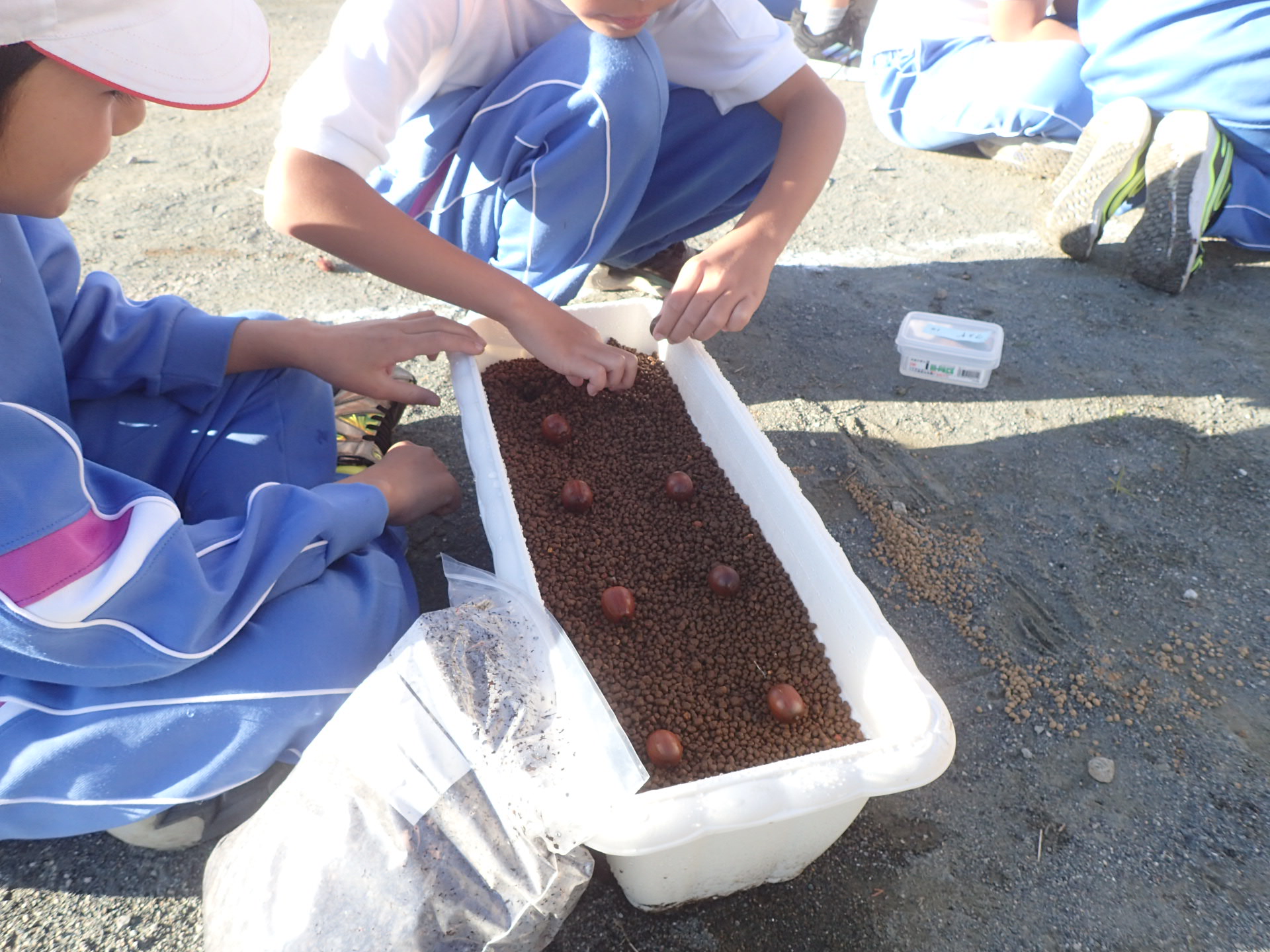 692021ff297c5.jpg 692021ff297c5.jpg