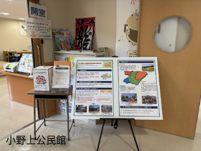 IMG_0356.jpeg IMG_0356.jpeg