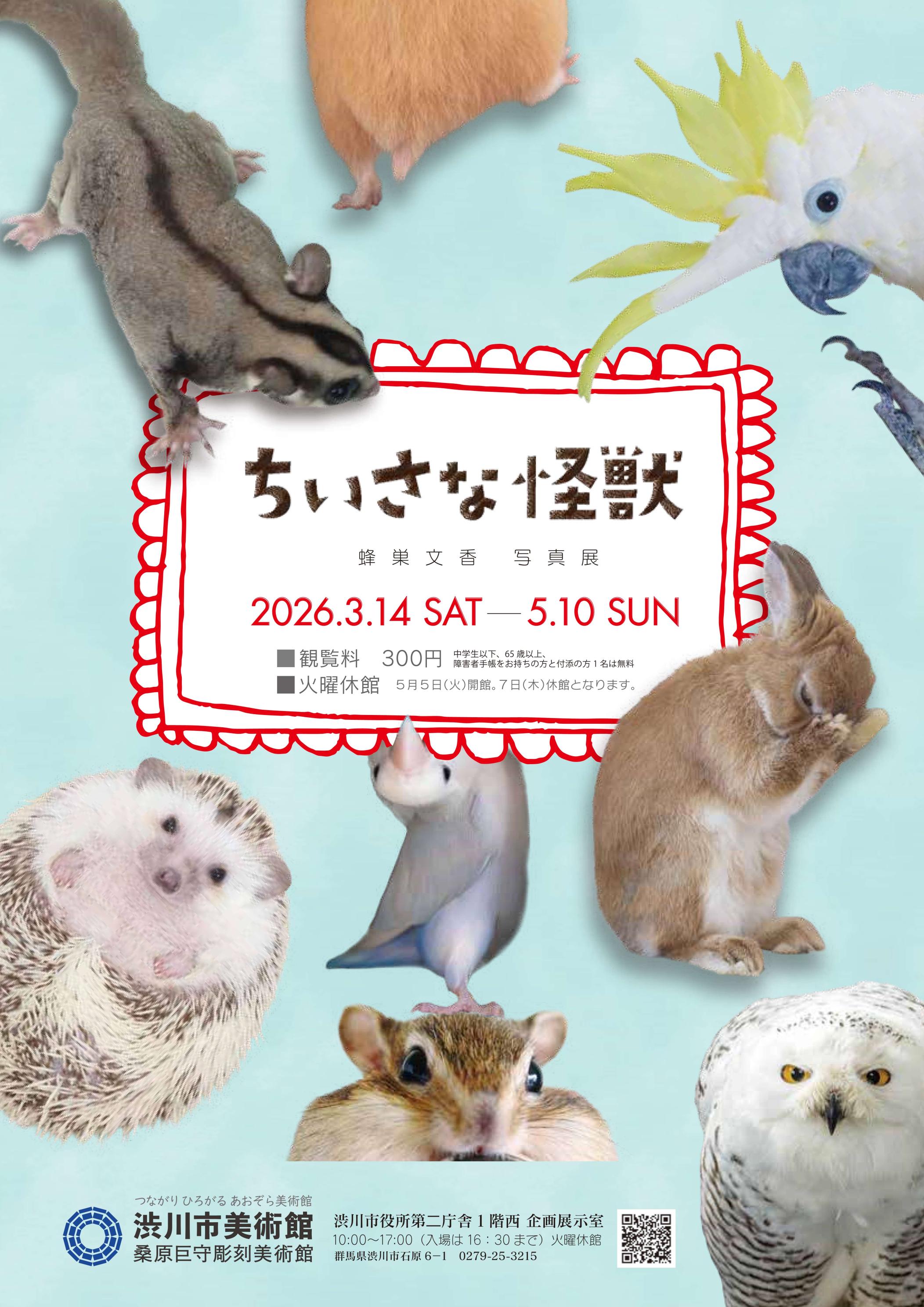 企画展｢蜂巣文香展〜ちいさな怪獣〜｣を開催します