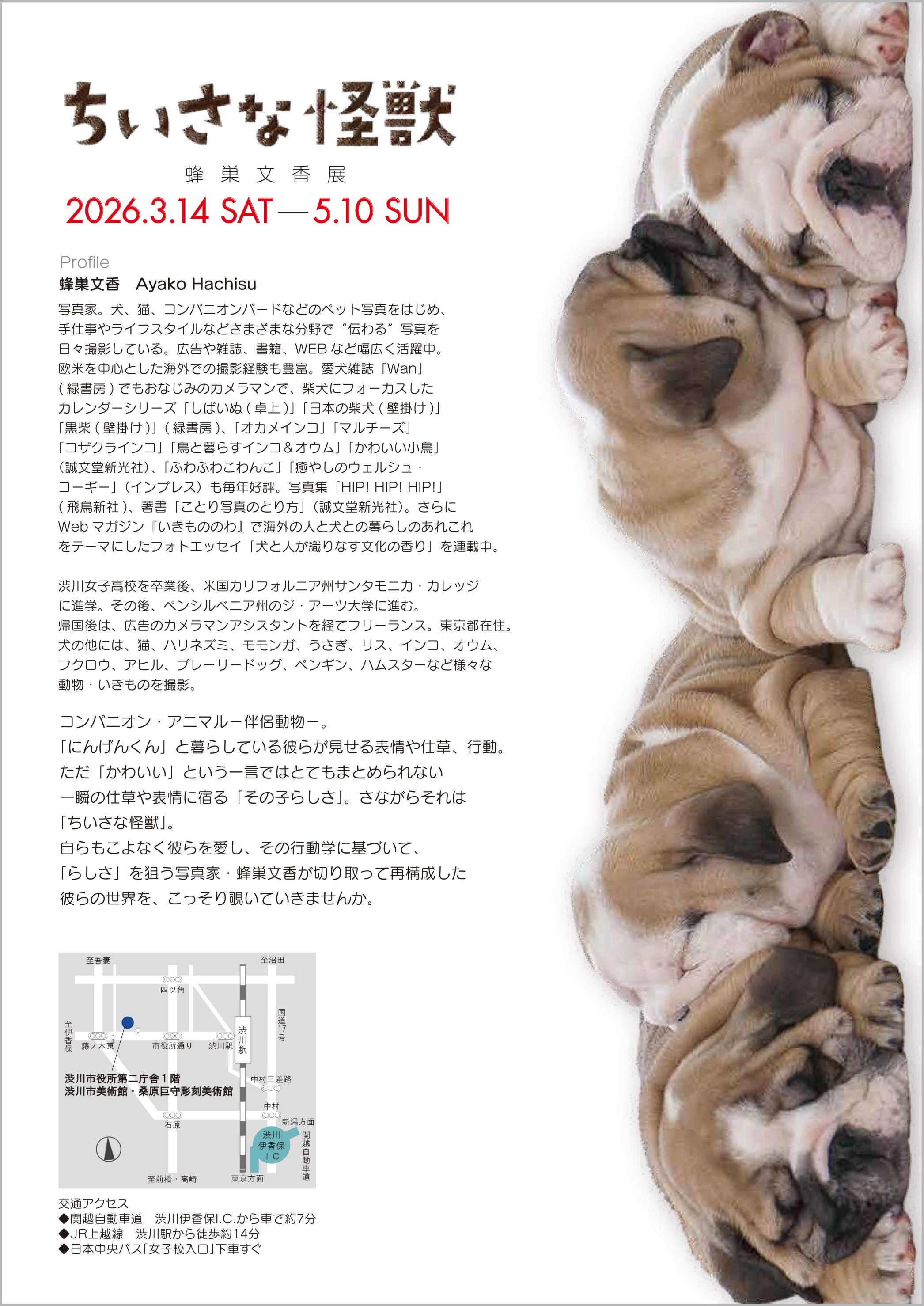 衣真一郎チラシ裏