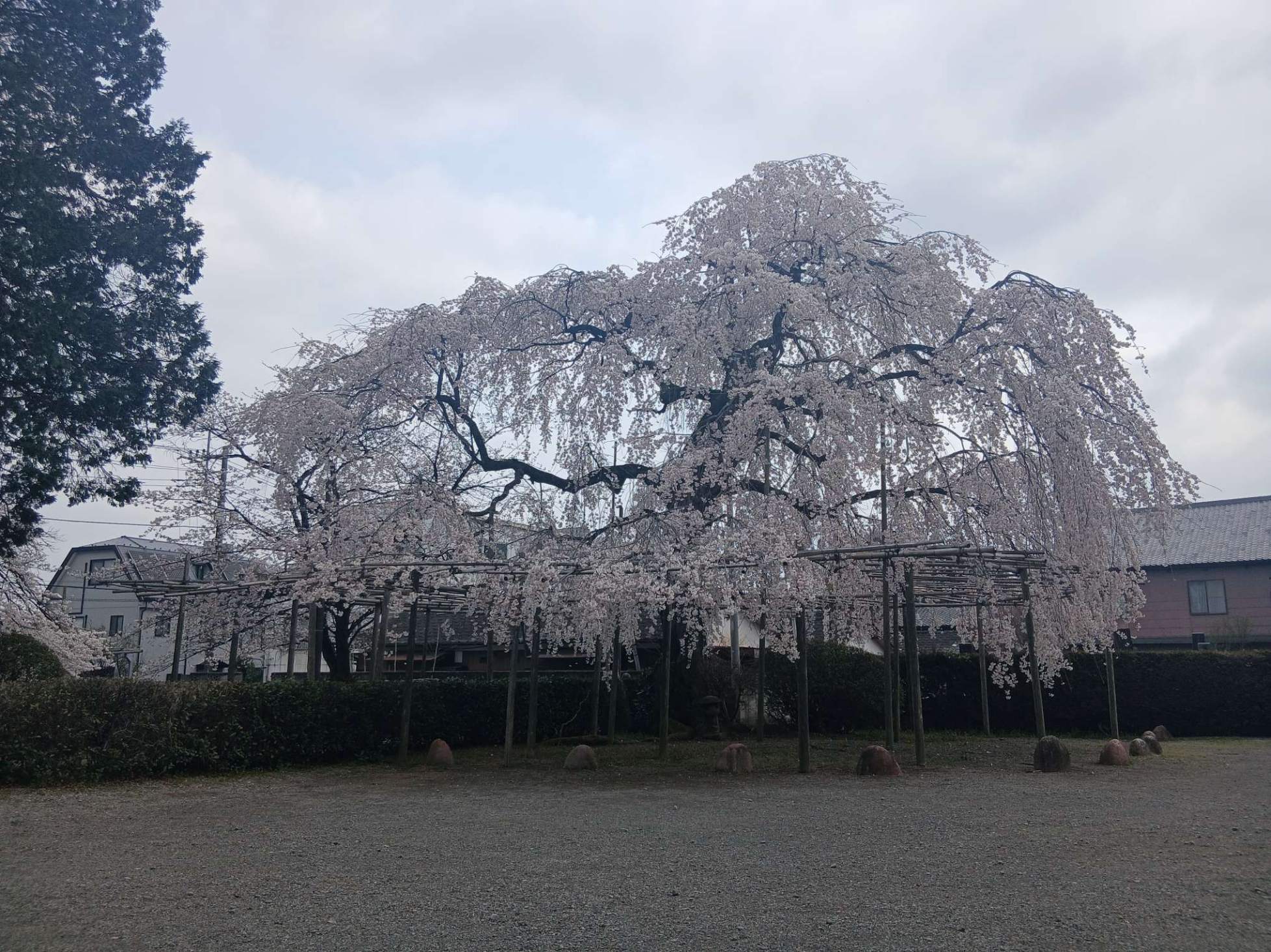 Compress_20260330_151053_3621 (2).jpg