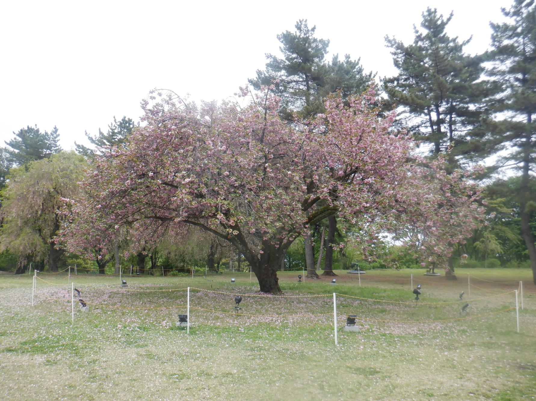 DSCF3904.JPG