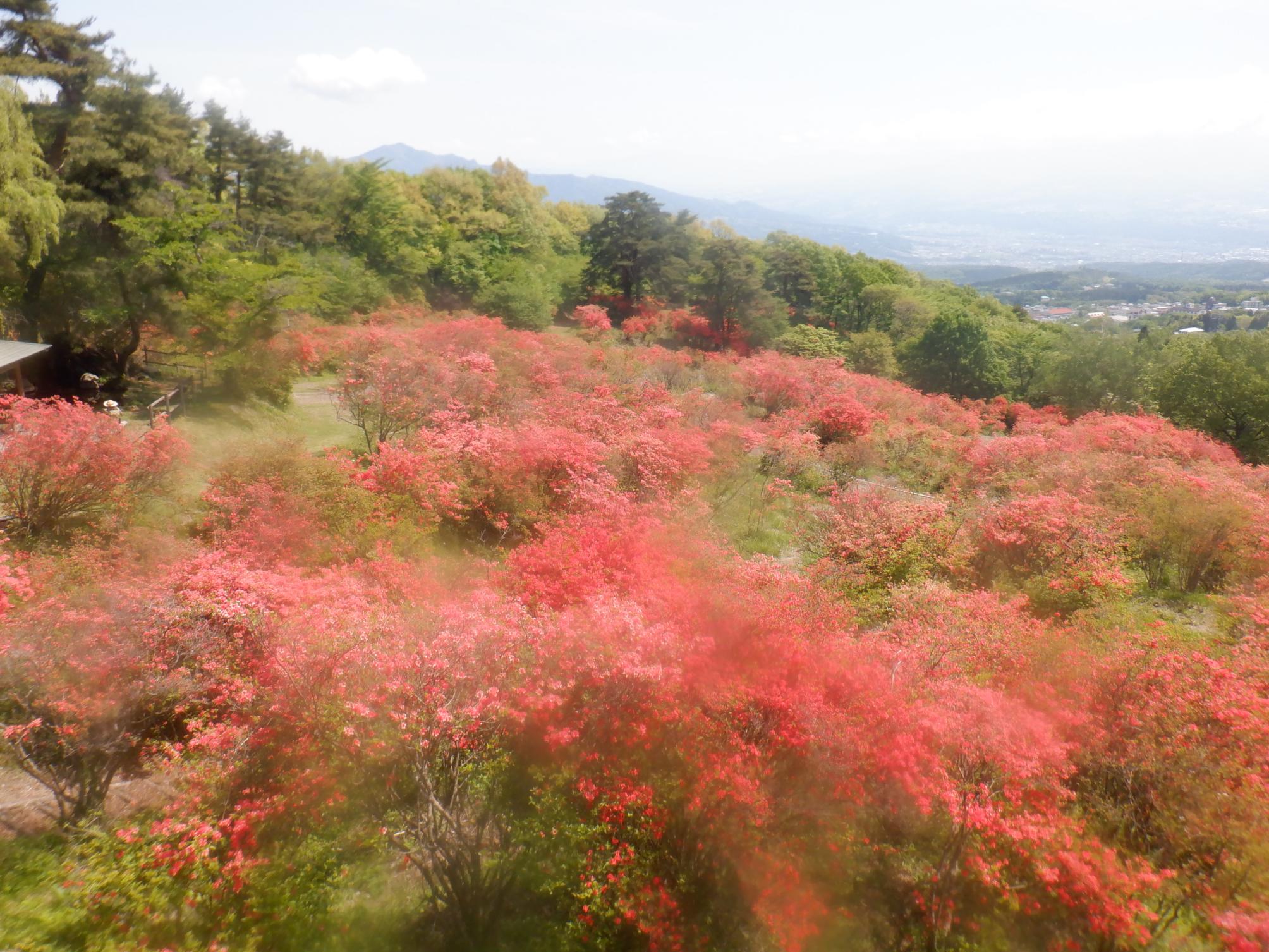 DSCF4091.JPG