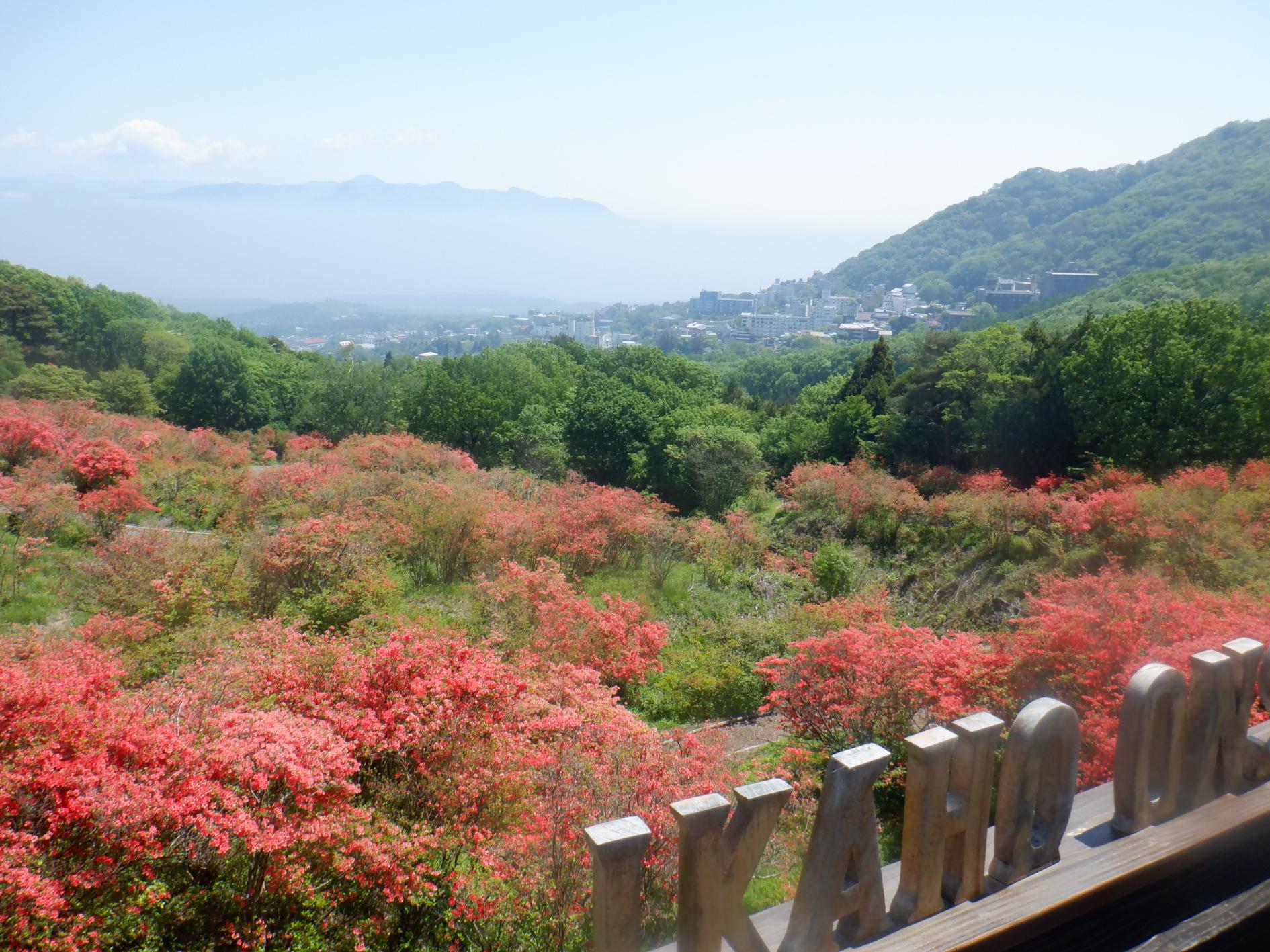 DSCF4191.JPG