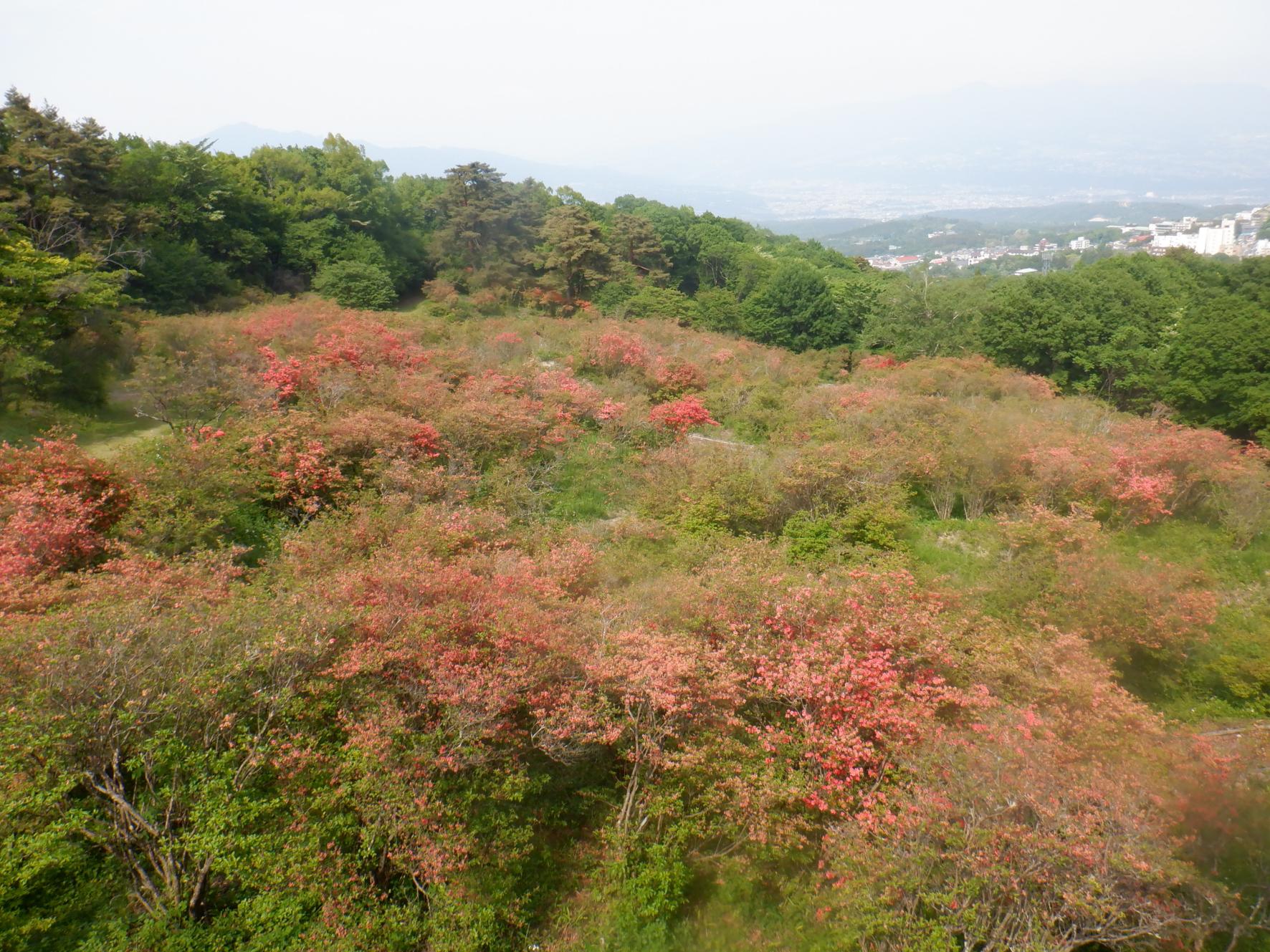 DSCF4191.JPG