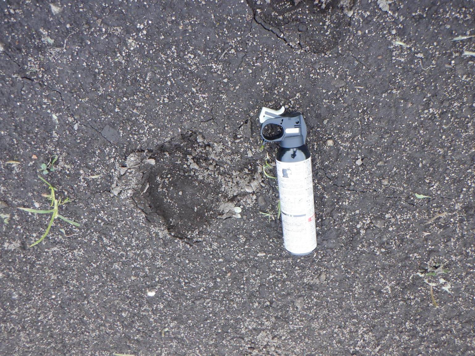 クマ足跡2（比較）.JPG