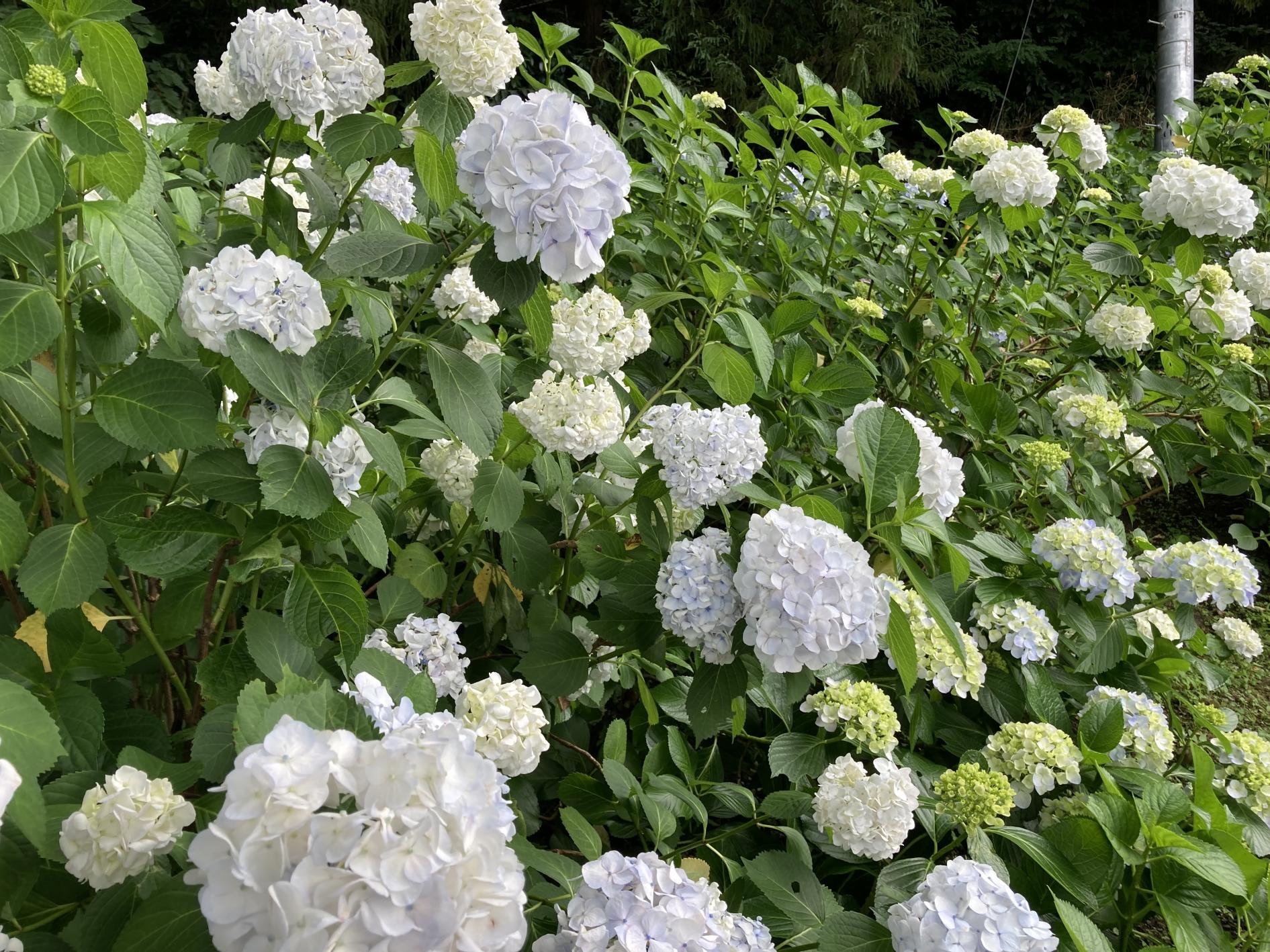 2 2