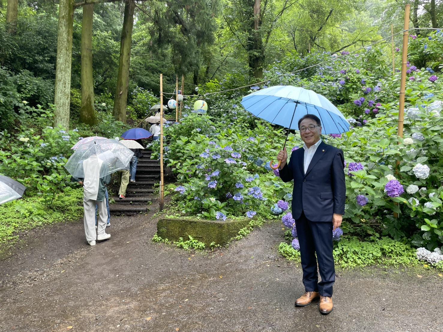 小野池あじさい公園あじさいまつり.jpeg 小野池あじさい公園あじさいまつり.jpeg