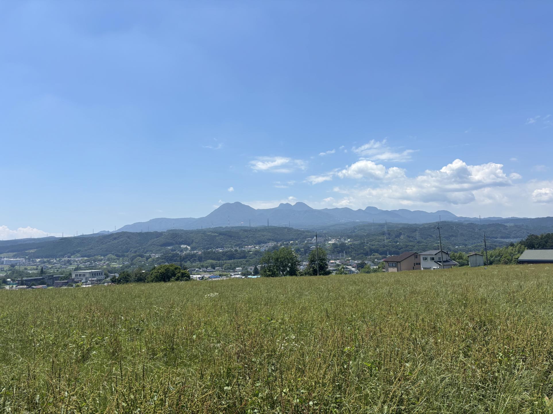 黒井峯遺跡 黒井峯遺跡