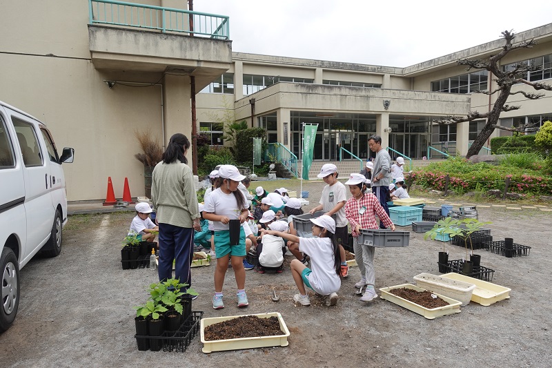 植え替え広角西.jpg 植え替え広角西.jpg