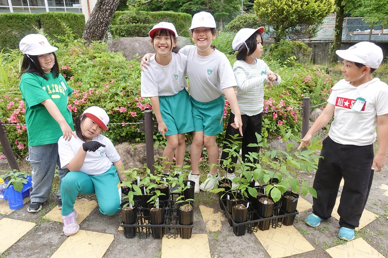 植え替え完了西.jpg 植え替え完了西.jpg