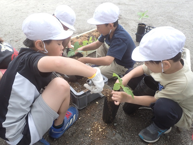 植え替え1中.jpg