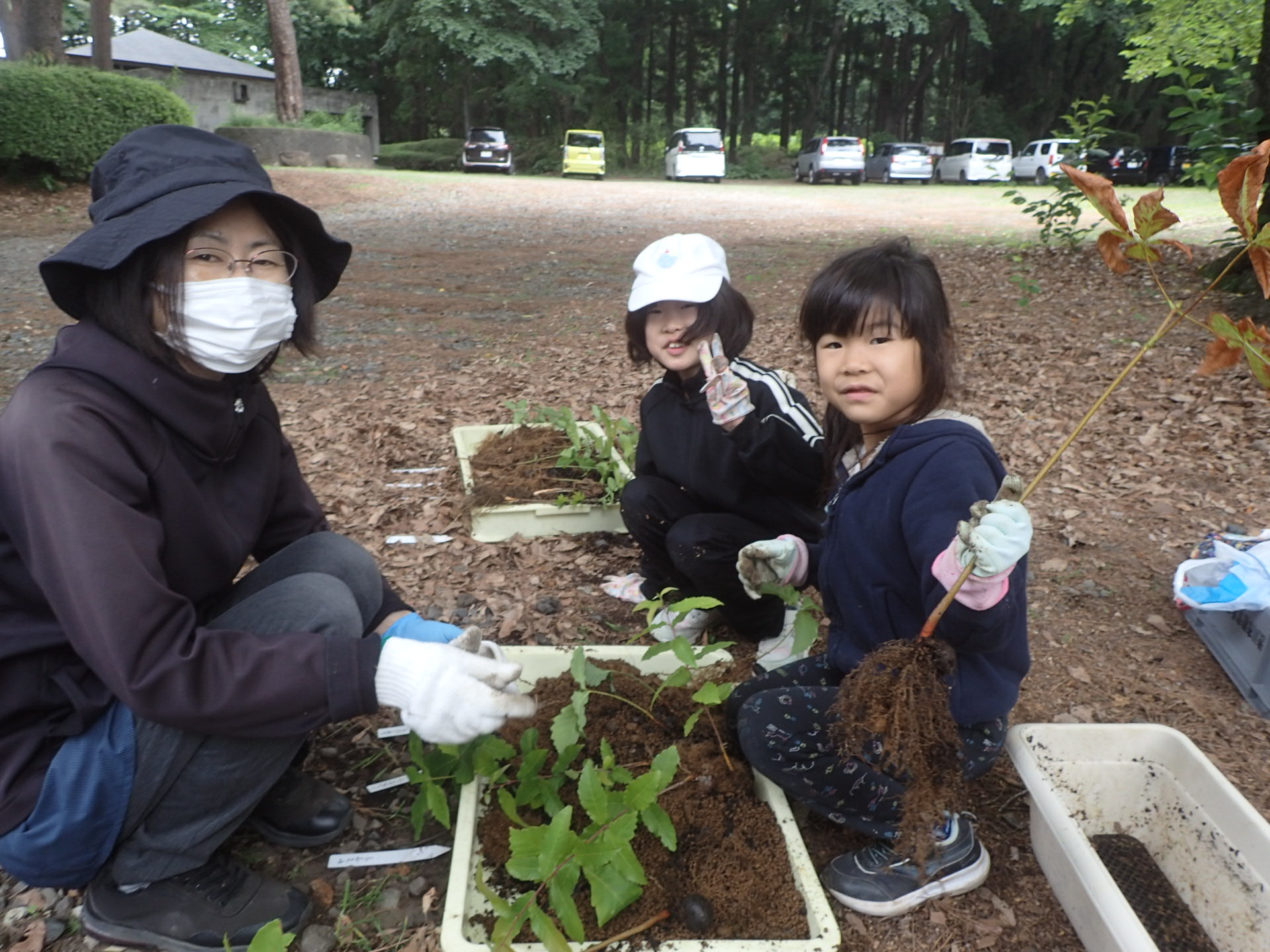 植え替え4.JPG 植え替え4.JPG