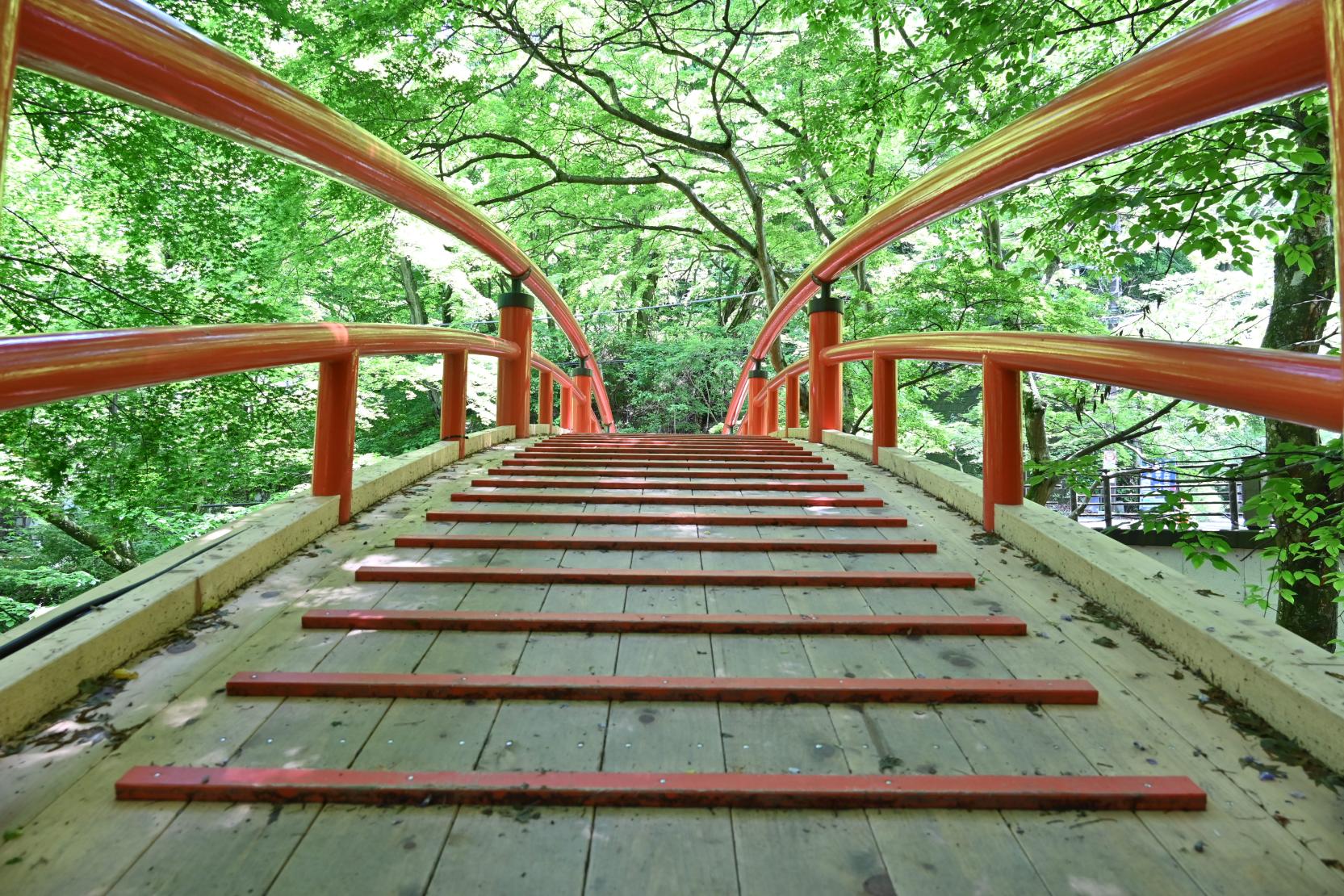 河鹿橋新緑