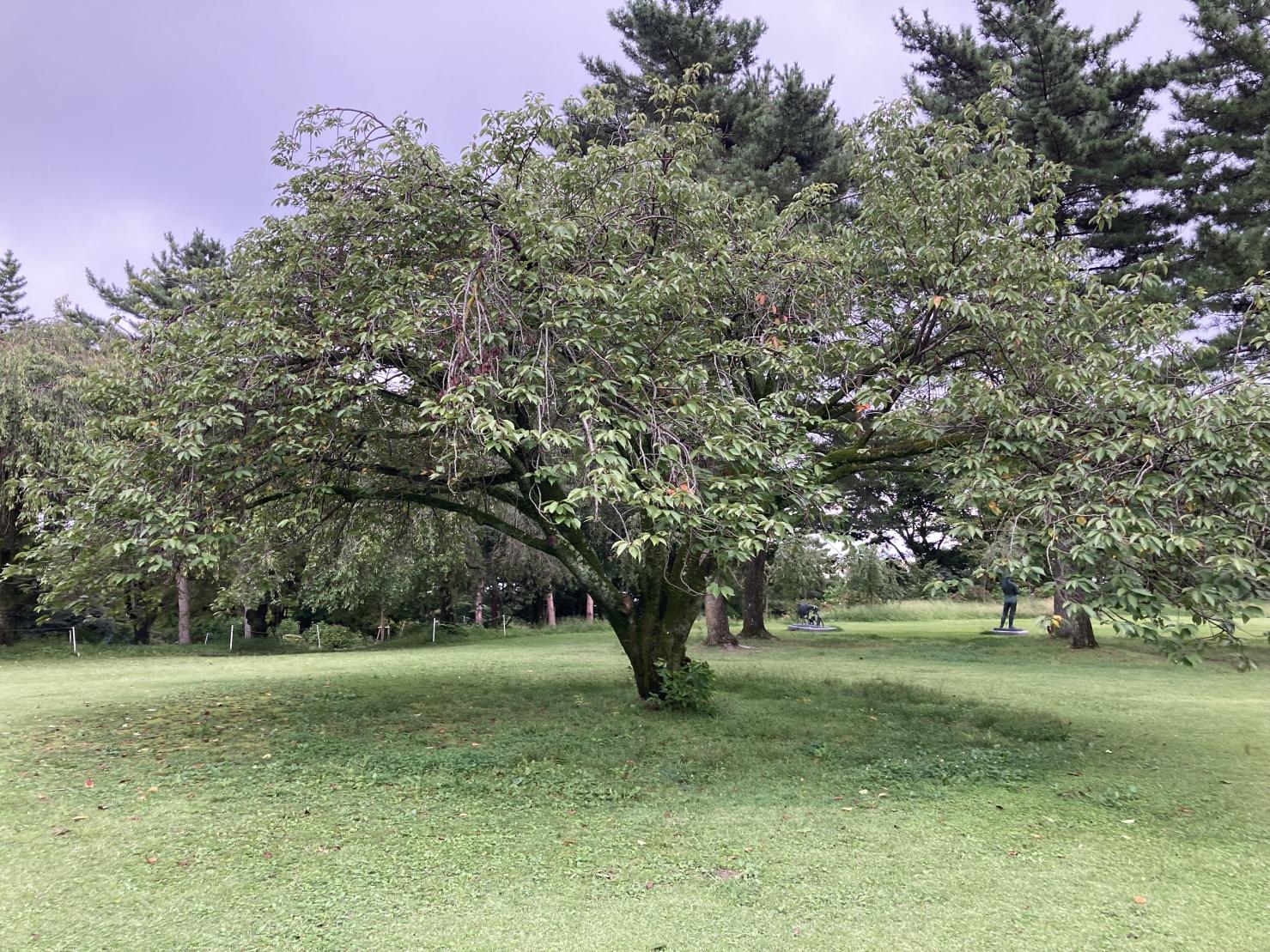 DSCF3904.JPG