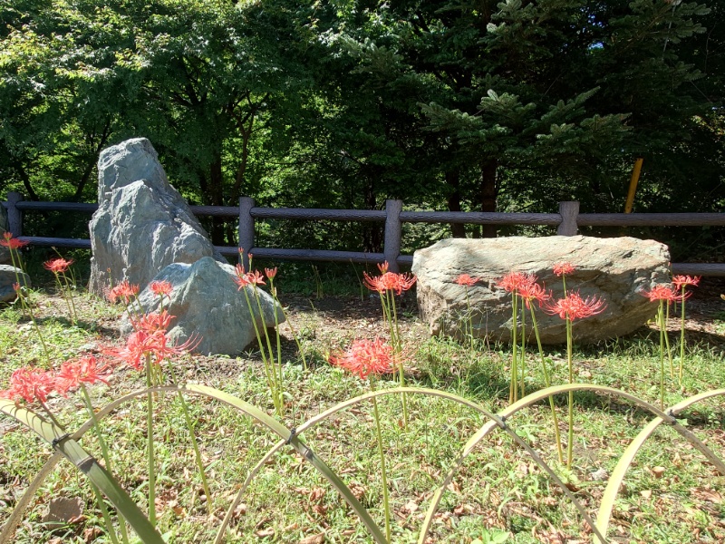 9.2_1.jpg 9.2_1.jpg