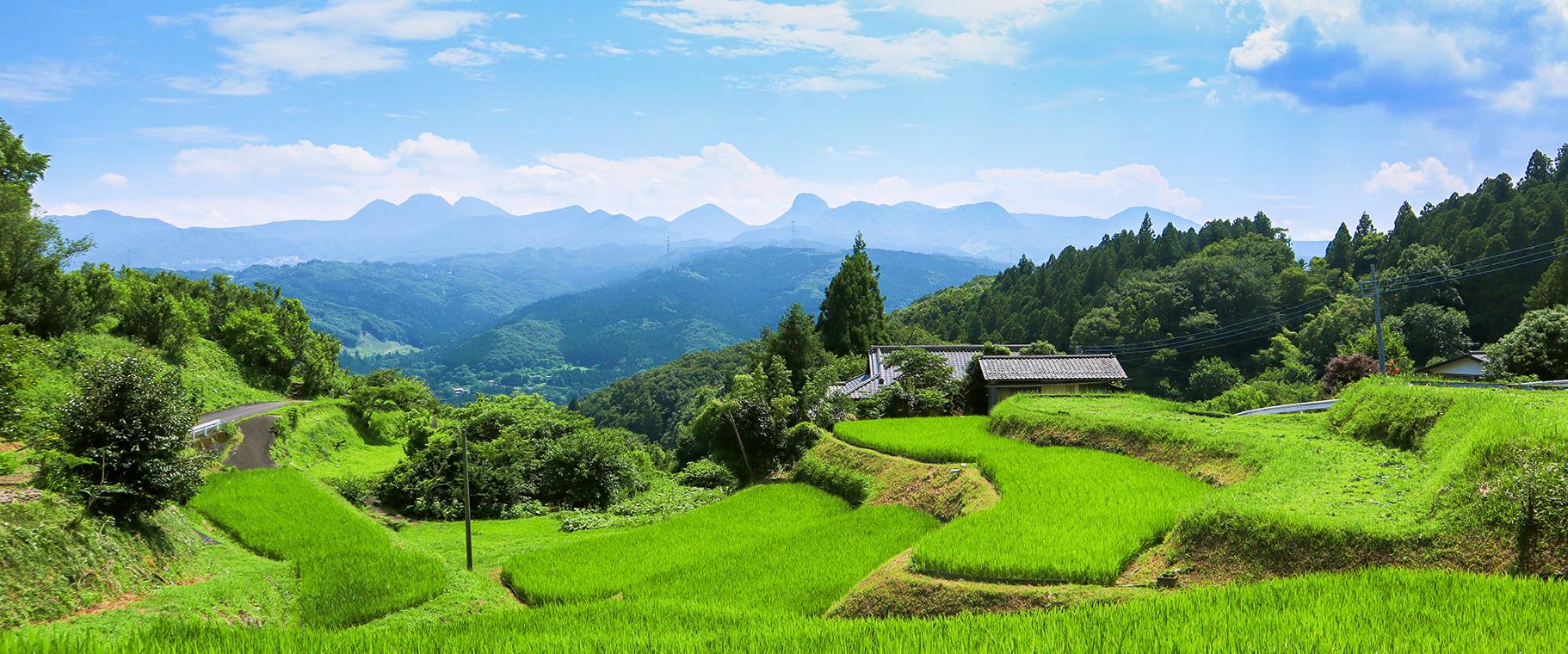 小野上の棚田