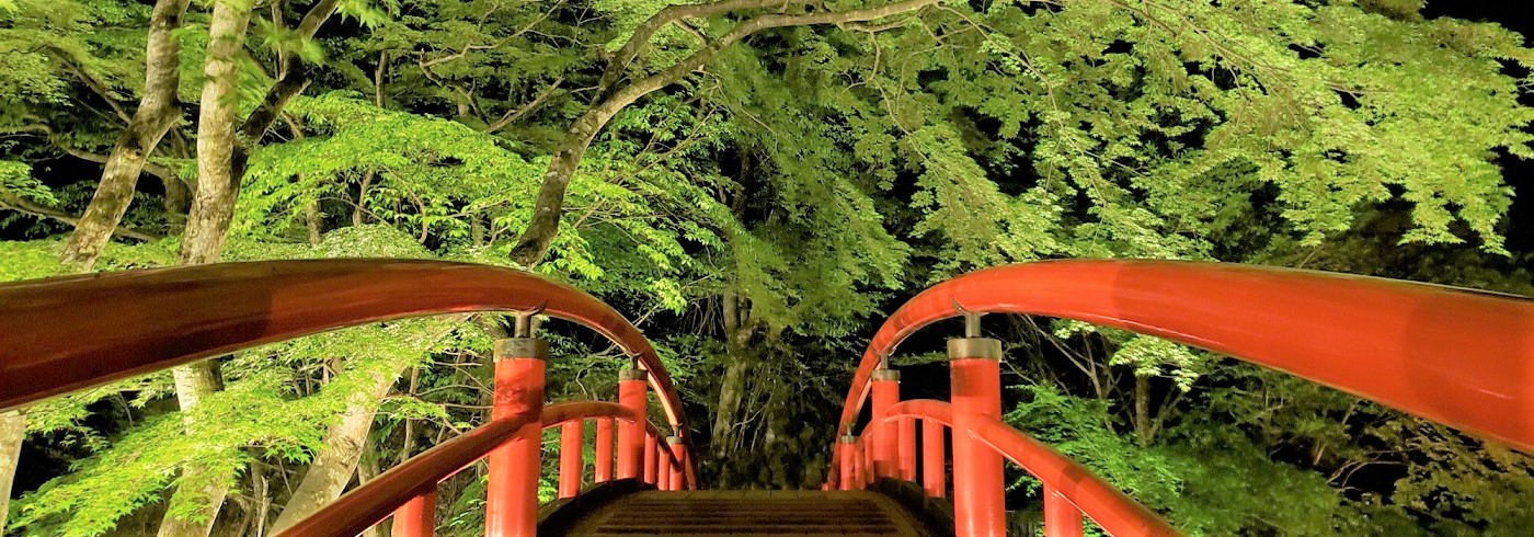 河鹿橋の新緑ライトアップ