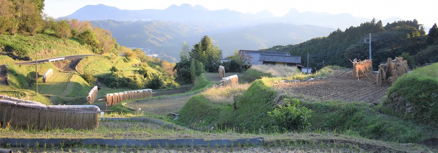 小野上地区の棚田