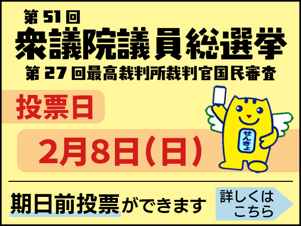 衆議院議員総選挙