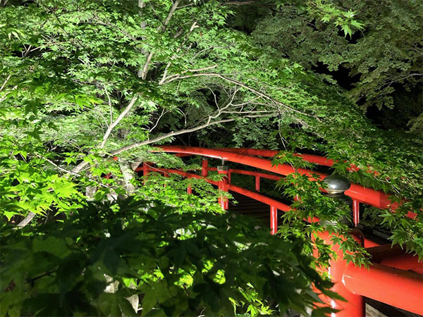 河鹿橋