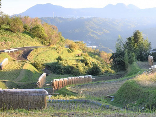 小野上地区の棚田