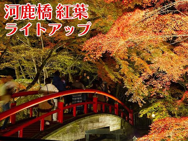 河鹿橋の紅葉ライトアップ