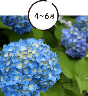 4～6月