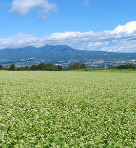渋川市の風景